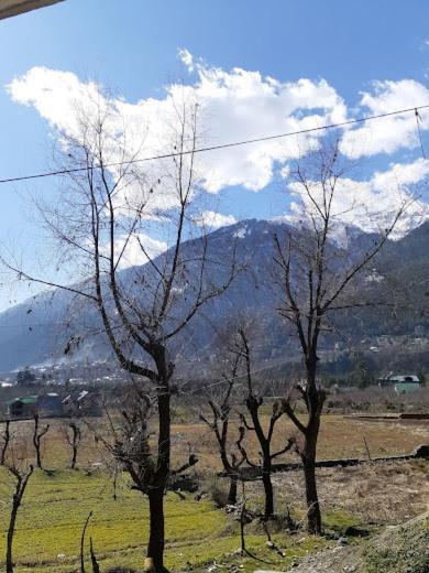 Hotel Devlok Inn Manali (Himachal Pradesh) Exterior photo